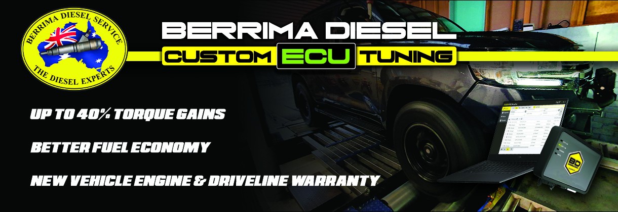 DPChip & ECU Tuning